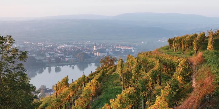 KREMS WACHAU VALLE WACHAU CRUCEROS RIO DANUBIO CRUCEROS FLUVIALES DONAU KREUZFAHRTEN CRUCEROS DANUBIO DANUBE CRUISES CREUERS BIDAIAK #Creuers #Cruises #VikingRiverCruises #Creuers #Danubio #CrucerosDanubio